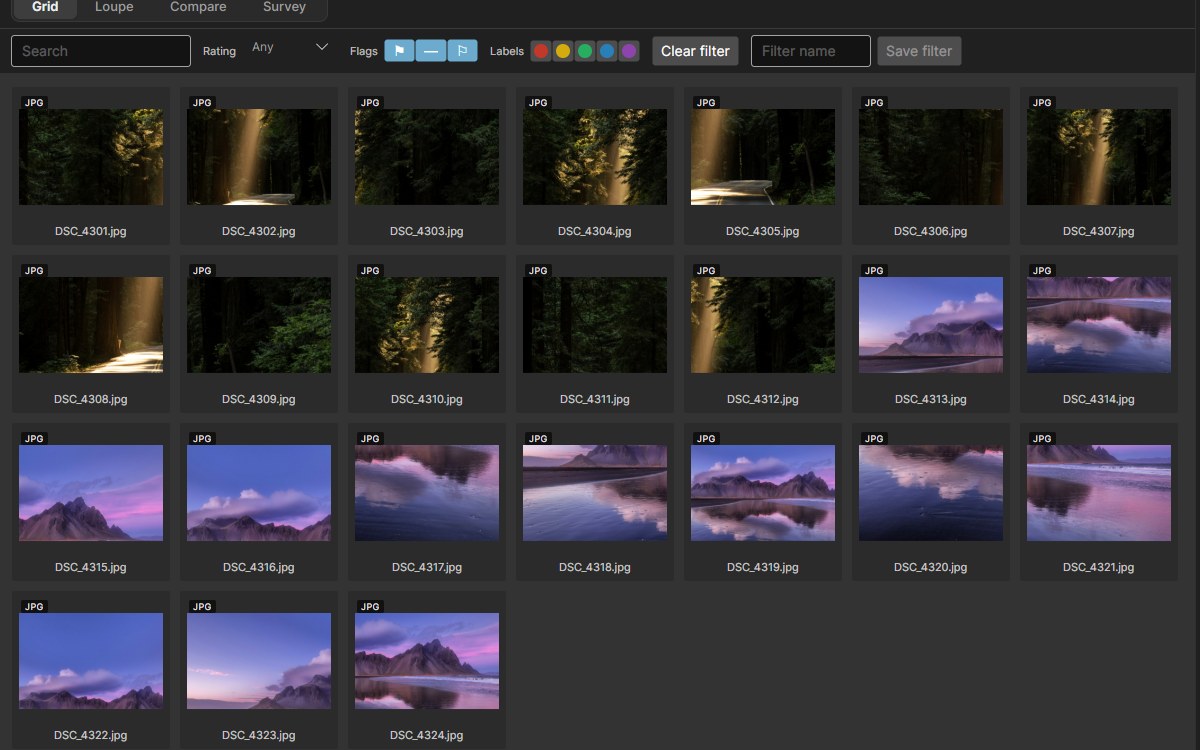 The Library grid: rows of thumbnails with the filter bar above them